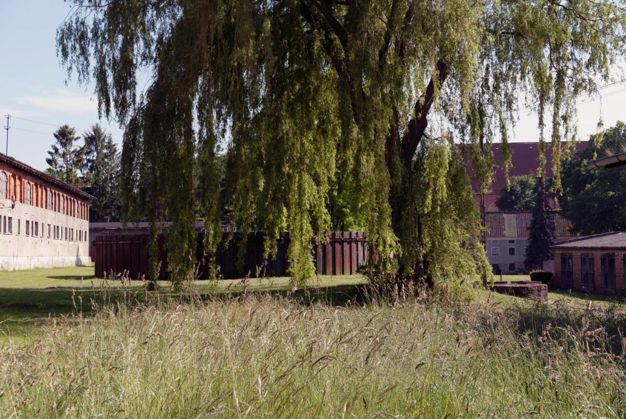 Apartment Zar - Dworek W Zarnowcu *